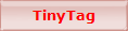 TinyTag Gemini